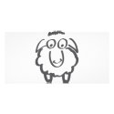 merino sheep photo cards