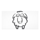 merino sheep photo cards