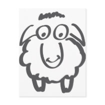 merino sheep post cards
