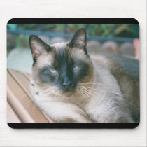 Merlin Brown Mousepad