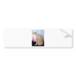 Merlin III bumper stickers