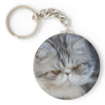 Merlin the exotic keychains