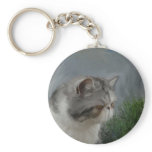 Merlin the Exotic keychains