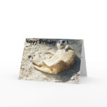 Merrkat Happy Birthday cards