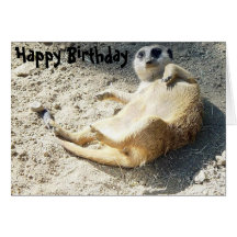 Merrkat Happy Birthday Greeting Cards
