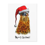 Merry Chickmas Postcard
