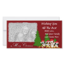Merry Christmas - 4 Australian Shepherd Puppies Photo Card