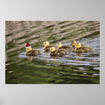 Merry Christmas Baby Geese Posters