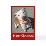 Merry Christmas Best Freind cards