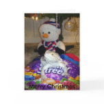 Merry Christmas Card
