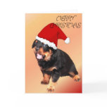 Merry Christmas cards