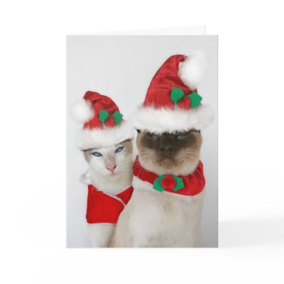 Merry Christmas! Cards by knichols1109