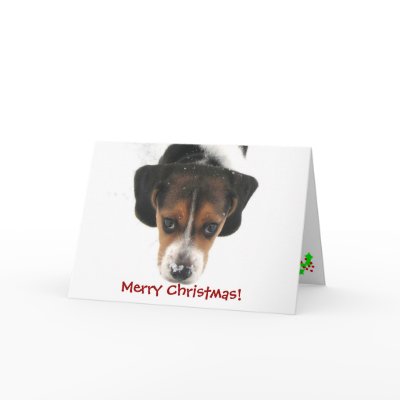 Merry Christmas! Greeting Cards by HessyLu