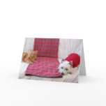 Merry Christmas! Greeting Card