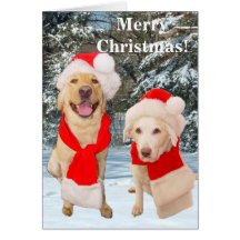 Merry Christmas Card