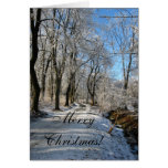 Merry Christmas! Card