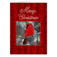 Merry Christmas Cardinal Greeting Card