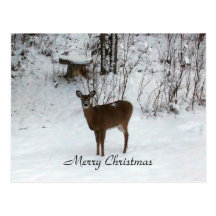 Merry Christmas Deer Post Cards