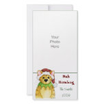 Merry Christmas from the Cat Bah Humbug Photo Card photo cards