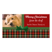 "Merry Christmas from the Dog!" Photo Cards