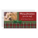 "Merry Christmas from the Dog!"