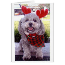 Merry Christmas Greeting Card