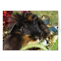 Merry Christmas!  Guinea Pig Card