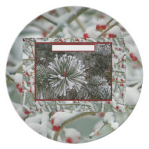Merry Christmas Happy New Year red berries Plates