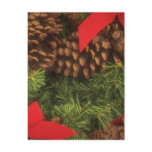 MERRY CHRISTMAS HOLIDAYS POST CARD