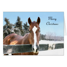 Merry Christmas horse Card