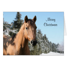Merry Christmas horse Cards