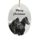 Merry Christmas Horse Enthusiast Gift Idea