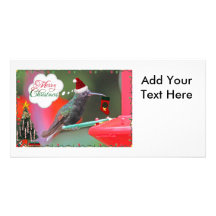 Merry Christmas Hummingbird Photo Cards