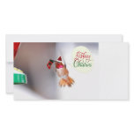 Merry Christmas Hummingbird photo cards