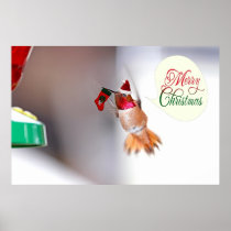 Merry Christmas Hummingbird Poster