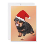 Merry Christmas invitations