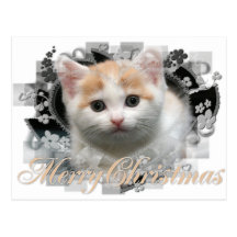 Merry Christmas Kitten - Holiday Postcards