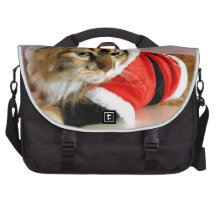 Merry Christmas kitty cat Santa suit