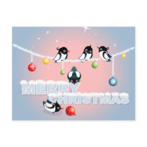 Merry Christmas - Magpies Bubbles Snow