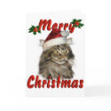 Merry Christmas Maine Coon Cat cards
