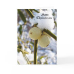 Merry Christmas(Mistletoe Berries) cards