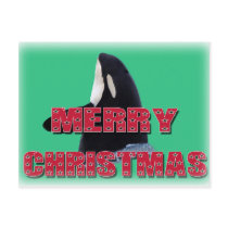 Merry Christmas Orca Whale Spy Hop Christmas Gifts Postcard