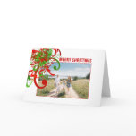 Merry Christmas Paint Splat Swirlies - Customised cards