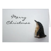 Merry Christmas Penguin Card