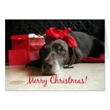 merry christmas  pointer and gifts at fireplace cards