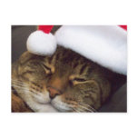 Merry Christmas post card