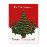 Merry Christmas Postcard