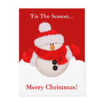 Merry Christmas Postcard