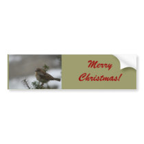 Merry Christmas Sparrow! with Scripture Bumper Stickers