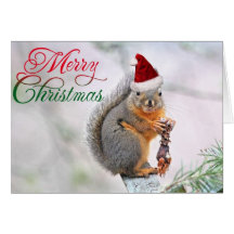Merry Christmas Squirrel Greeting Cards